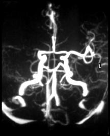 b5091261f11df8a390800200c9a66