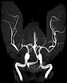 b5093261f11df8a390800200c9a66