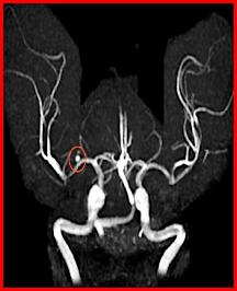 b5094261f11df8a390800200c9a66