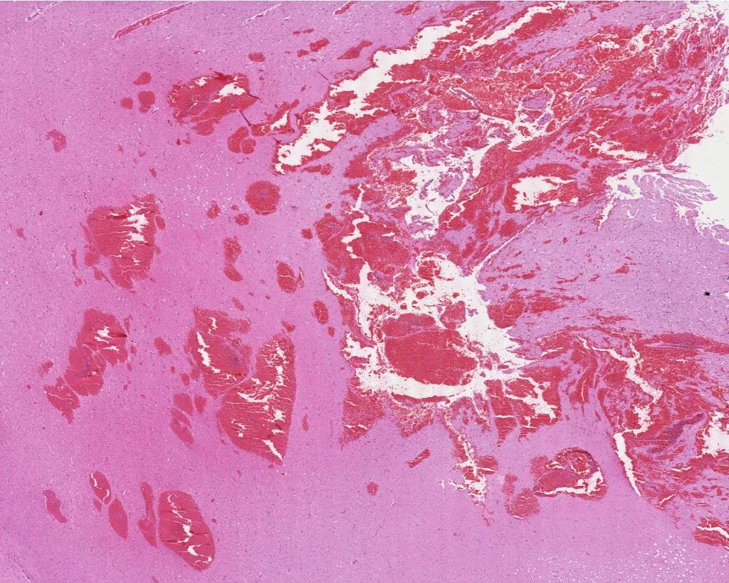 b50a6261f11df8a390800200c9a66