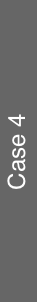 Case 4