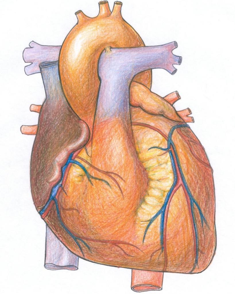 e8e9e1002e0511df8a390800200c9a66