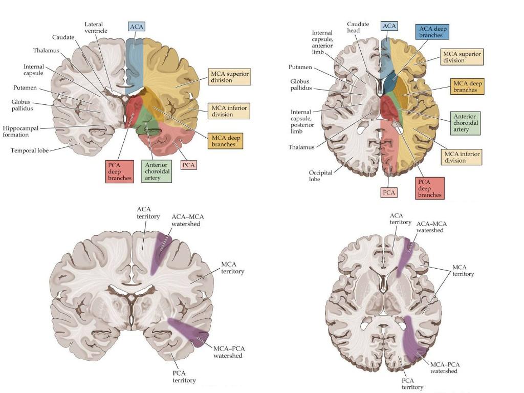 ed63af10270f11df8a390800200c9a66