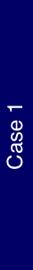 Case 1