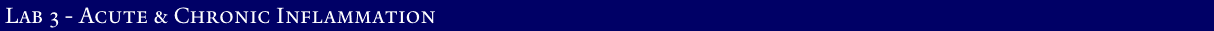 Lab 3 - Acute &