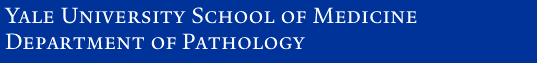 Yale University School of Medicine